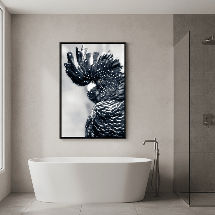 Black Cockatoo Wall Art Print wall - art - picture - poster