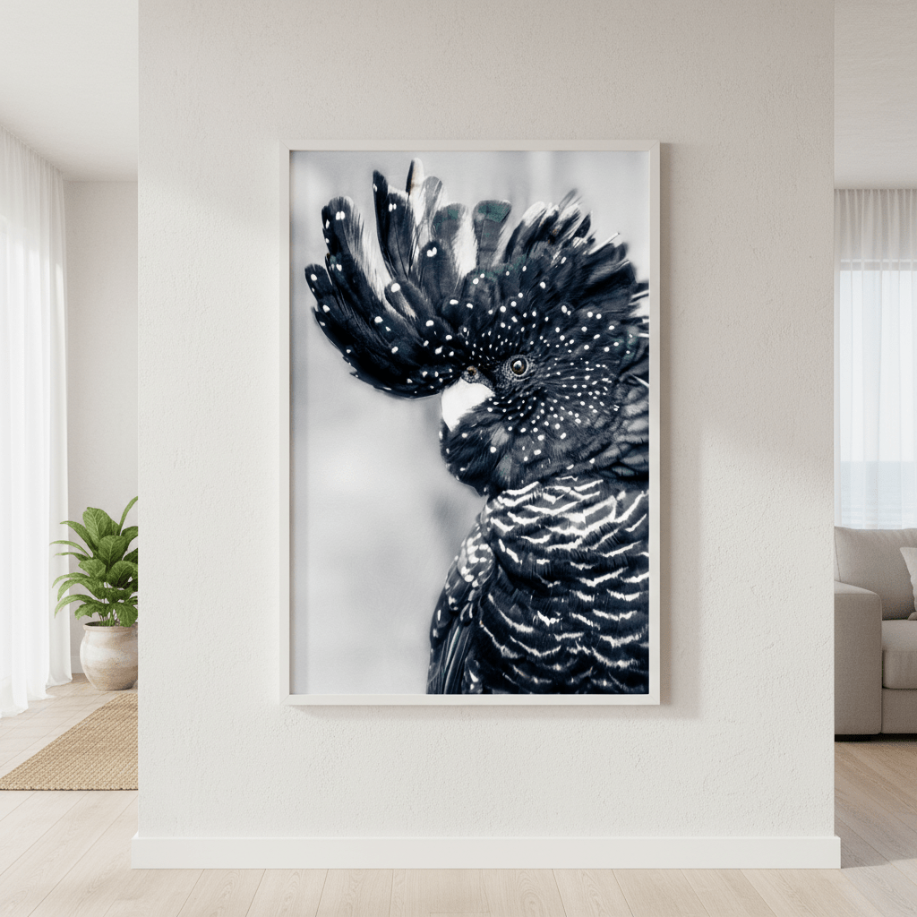 Black Cockatoo Wall Art Print wall - art - picture - poster