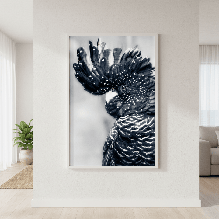 Black Cockatoo Wall Art Print wall - art - picture - poster