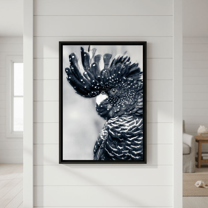 Black Cockatoo Wall Art Print wall - art - picture - poster