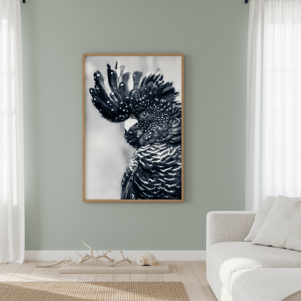Black Cockatoo Wall Art Print wall - art - picture - poster