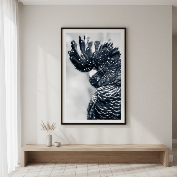 Black Cockatoo | Art & Canvas Print