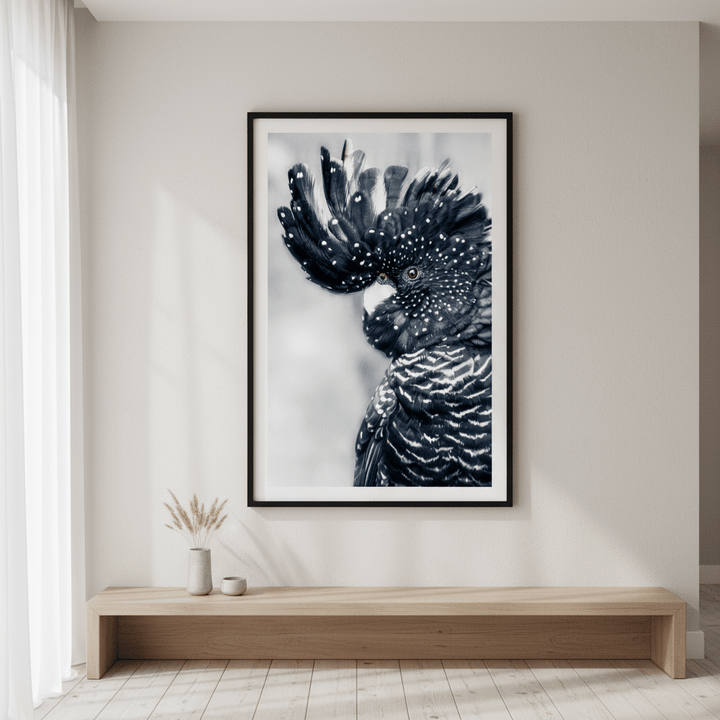 Black Cockatoo Wall Art Print wall - art - picture - poster