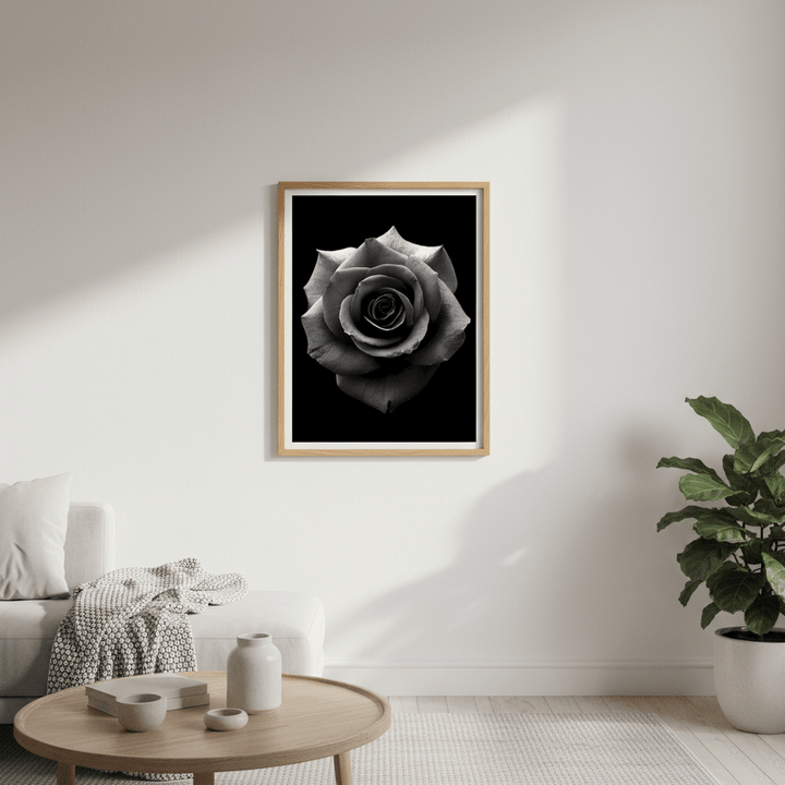 Black Rose by Peter Attard wall - art - picture - poster