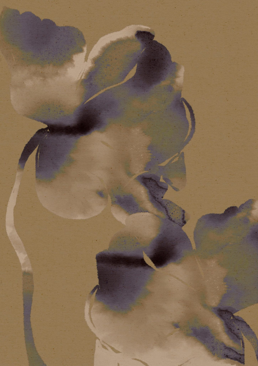 Bloom In Gentle Waters By Shatha Al Dafai