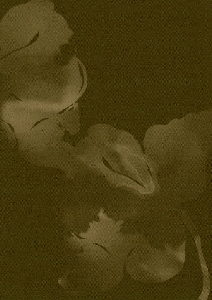 frame
