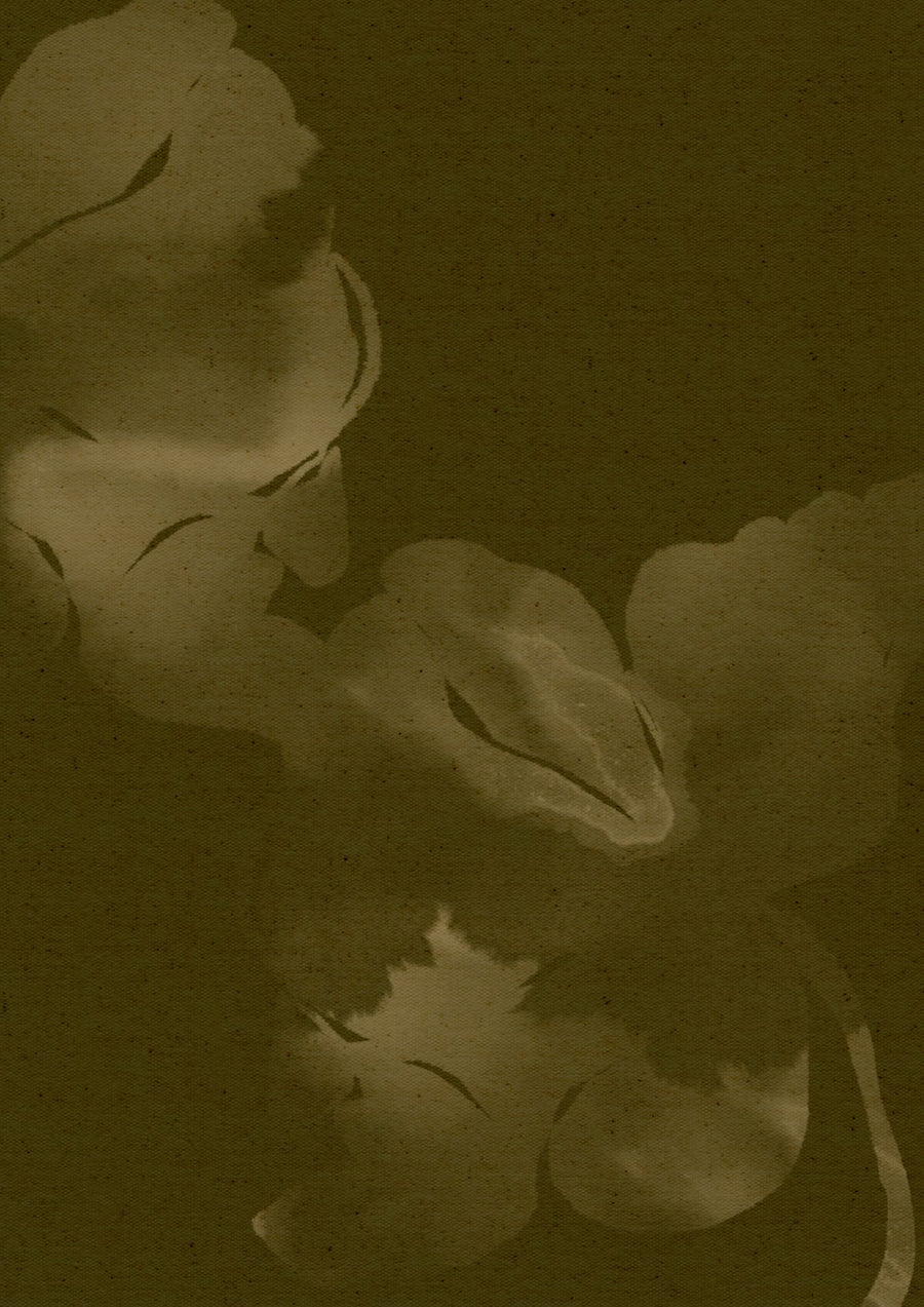 Bloom In Soft Waters By Shatha Al Dafai