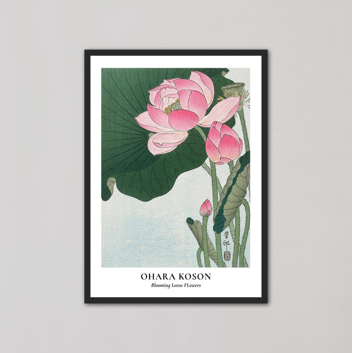 Blooming Lotus Flowers Wall Art by Ohara Koson - Style My Wall