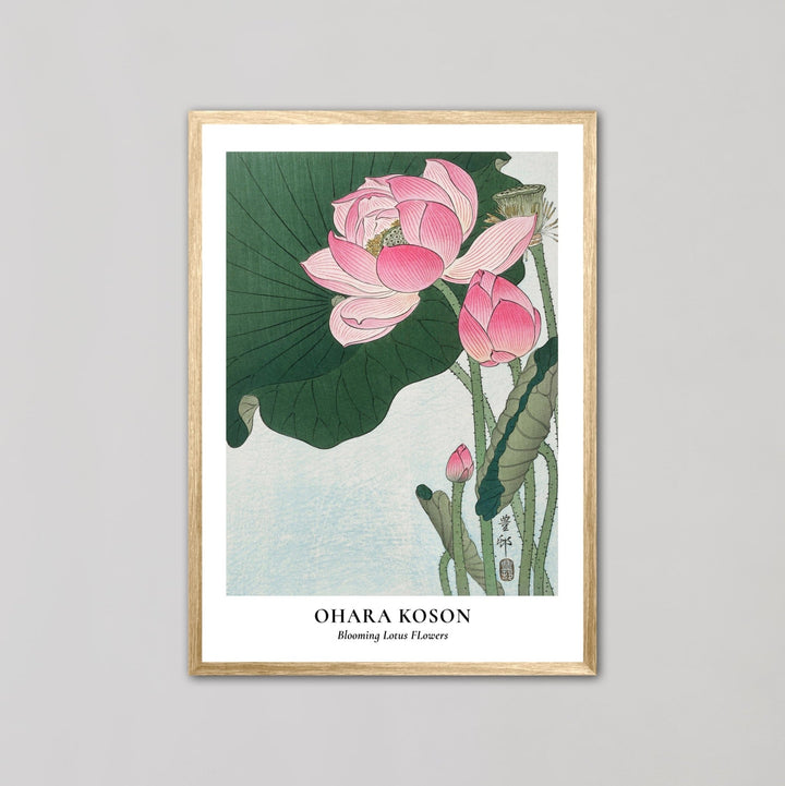 Blooming Lotus Flowers Wall Art by Ohara Koson - Style My Wall