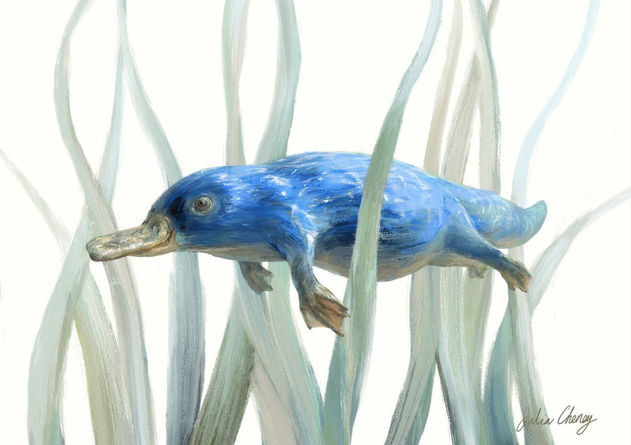 Blue Platypus by Julia Cheney