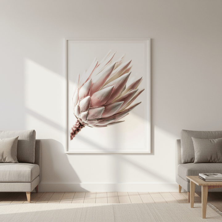 Blush Protea Bloom wall - art - picture - poster