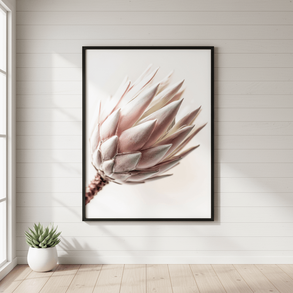 Blush Protea Bloom wall - art - picture - poster