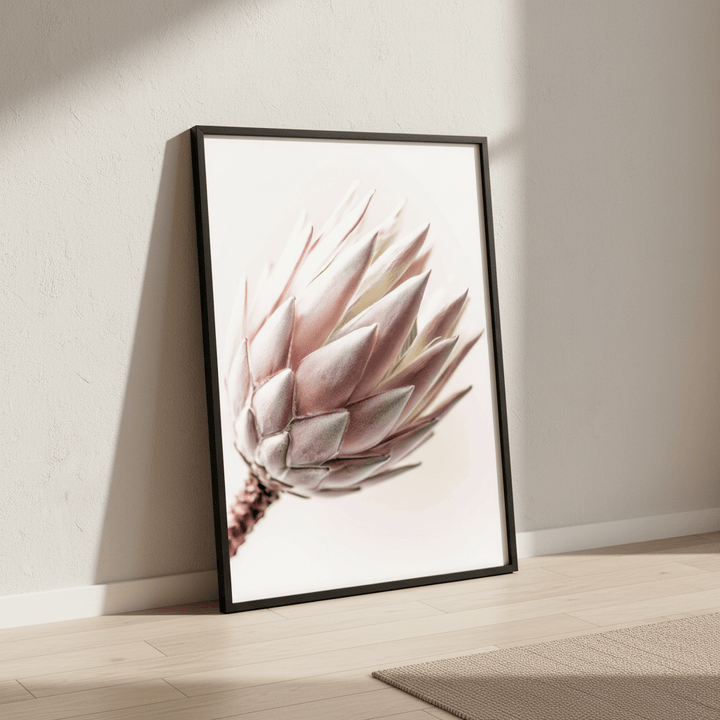 Blush Protea Bloom wall - art - picture - poster