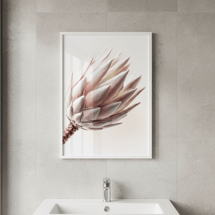 Blush Protea Bloom wall - art - picture - poster