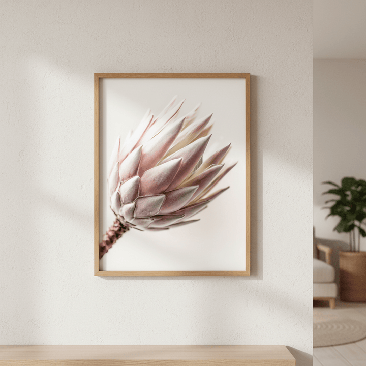Blush Protea Bloom wall - art - picture - poster