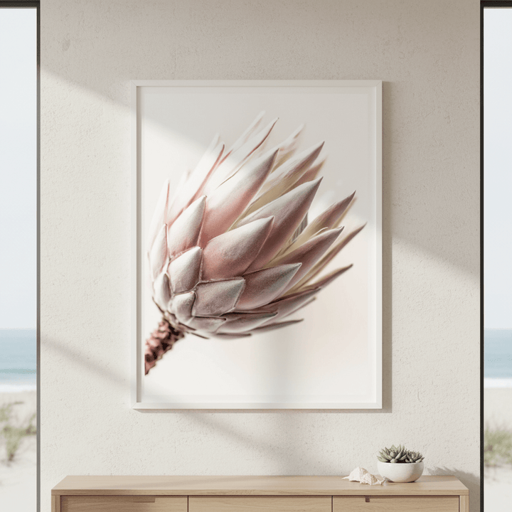 Blush Protea Bloom wall - art - picture - poster
