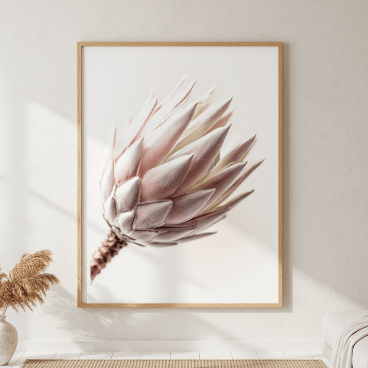 Blush Protea Bloom wall - art - picture - poster