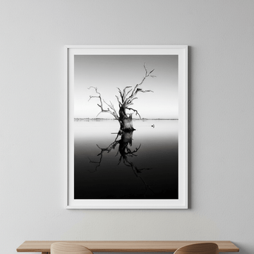 Bonney Tree by Steven Scott wall - art - picture - poster