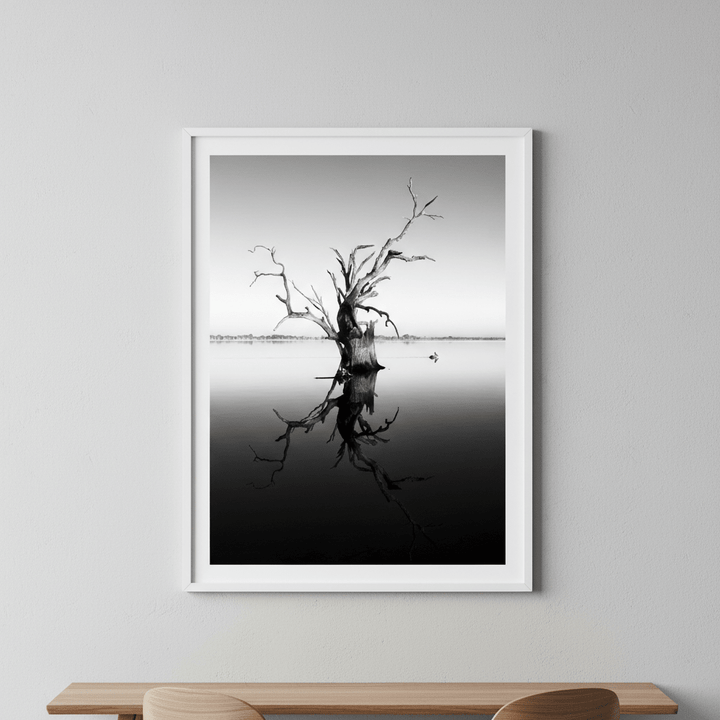 Bonney Tree by Steven Scott wall - art - picture - poster