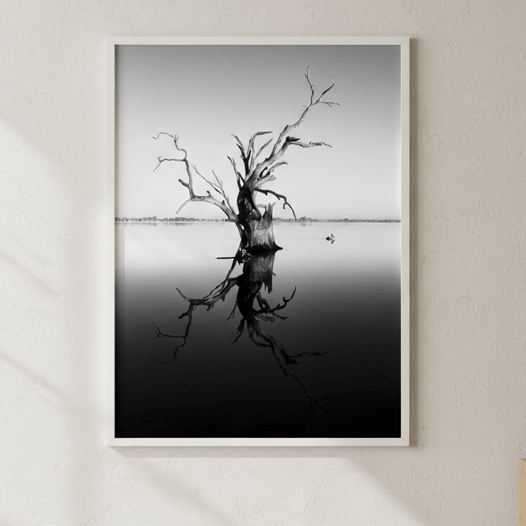 Bonney Tree by Steven Scott wall - art - picture - poster