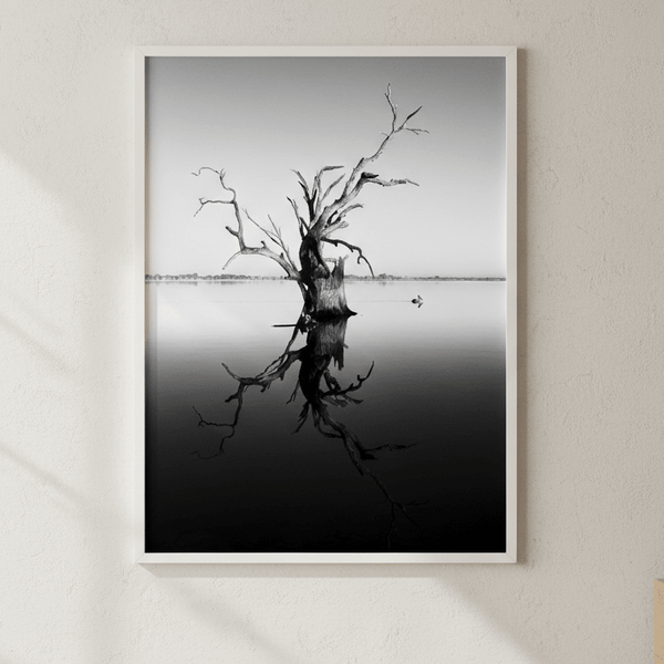 Bonney Tree by Steven Scott