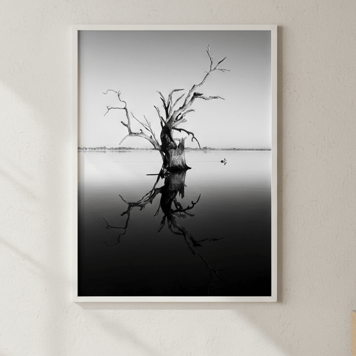 Bonney Tree by Steven Scott wall - art - picture - poster