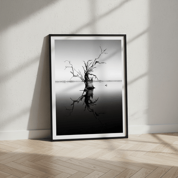 Bonney Tree by Steven Scott wall - art - picture - poster