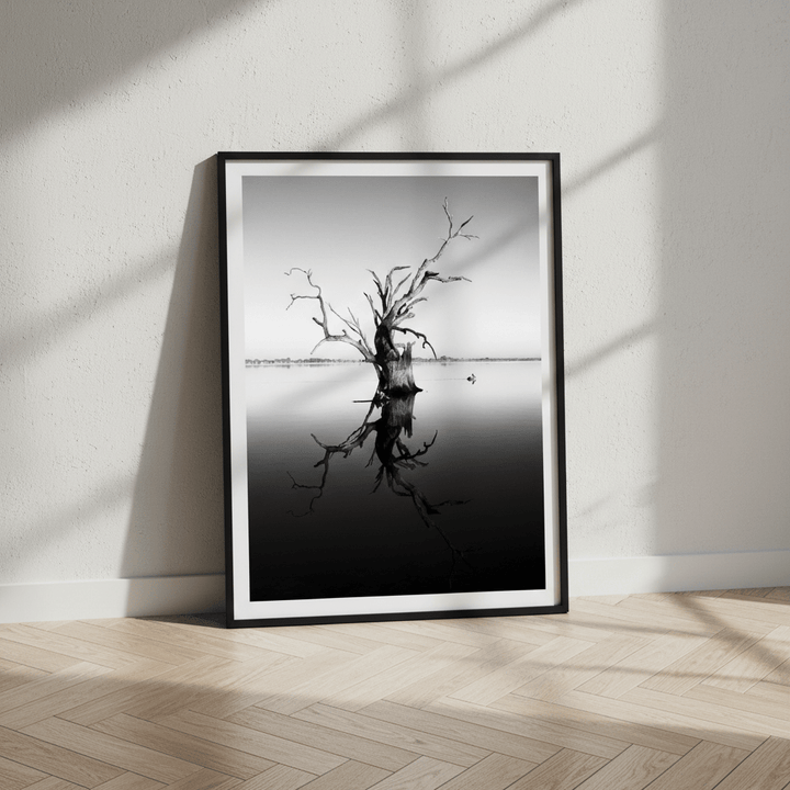 Bonney Tree by Steven Scott wall - art - picture - poster