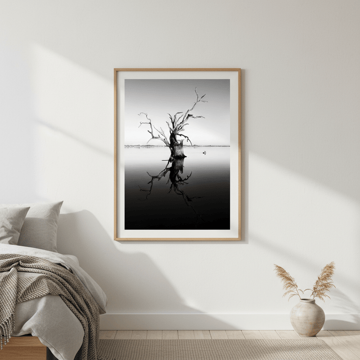 Bonney Tree by Steven Scott wall - art - picture - poster