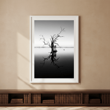 Bonney Tree by Steven Scott wall - art - picture - poster