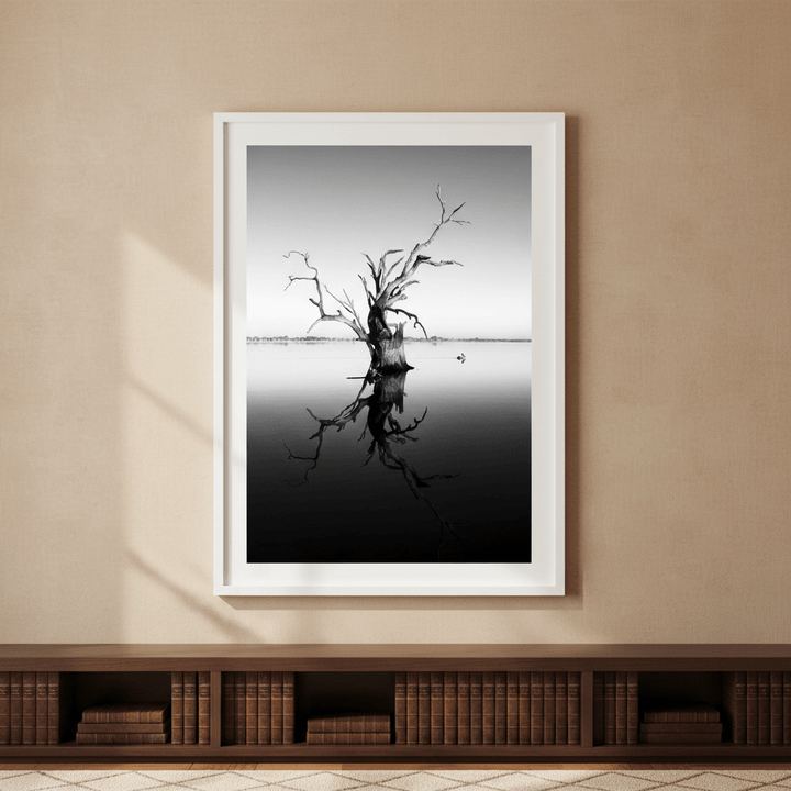 Bonney Tree by Steven Scott wall - art - picture - poster