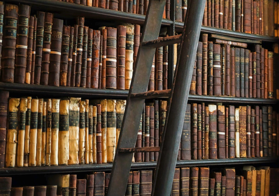 Bookshelf filled with old books and a metal ladder. framed