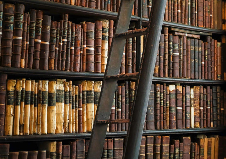 Bookshelf filled with old books and a metal ladder. framed