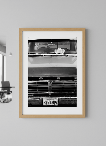 Contemporary wall art featured in a bright modern office workspace