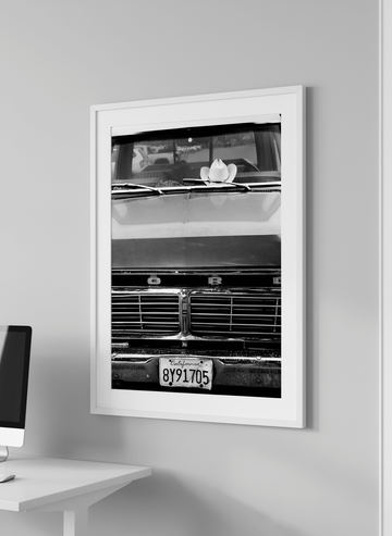 Contemporary wall art featured in a bright modern office workspace
