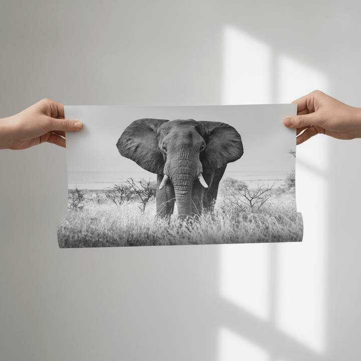Bull Elephant Landscape Photograph Black and White wall-art-picture-poster