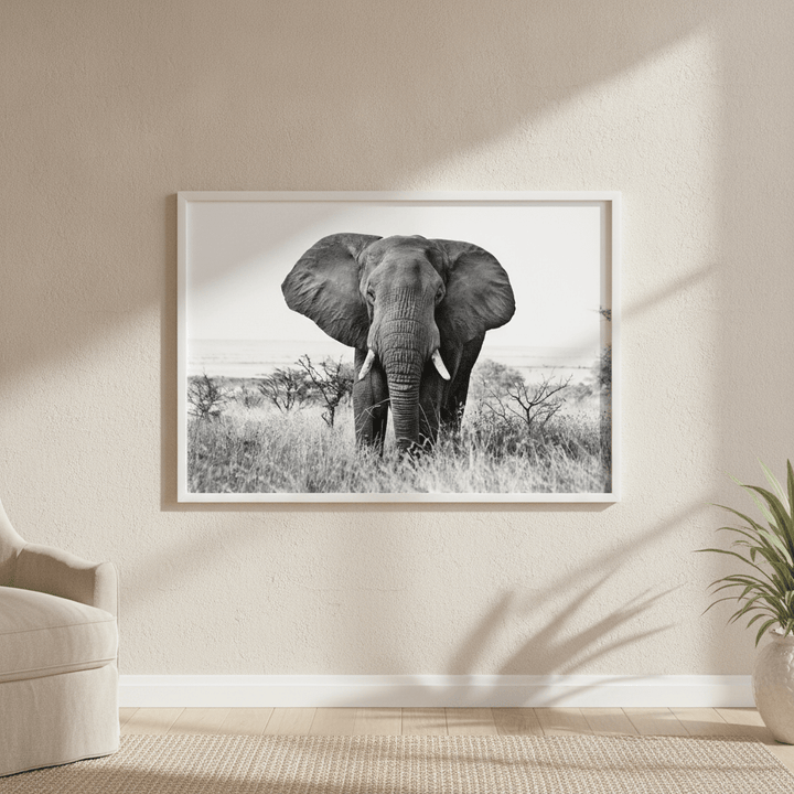 Bull Elephant Landscape Photograph Black and White wall-art-picture-poster