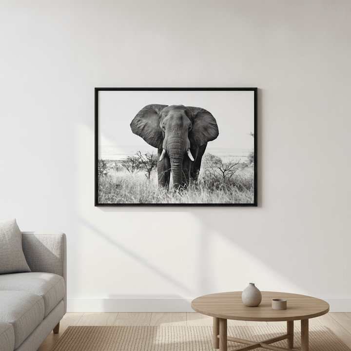 Bull Elephant Landscape Photograph Black and White wall-art-picture-poster