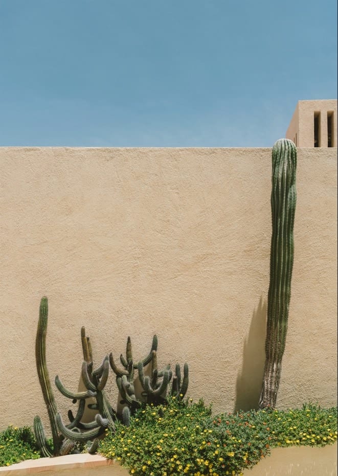 Cabo Architecture  By Bethany Young
