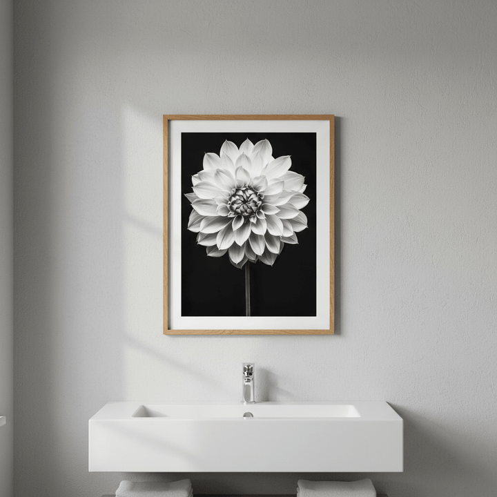 Cactus Dahlia by Peter Attard wall - art - picture - poster