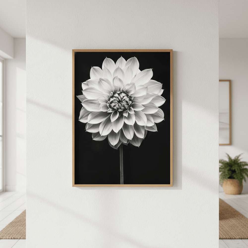 Cactus Dahlia by Peter Attard wall - art - picture - poster