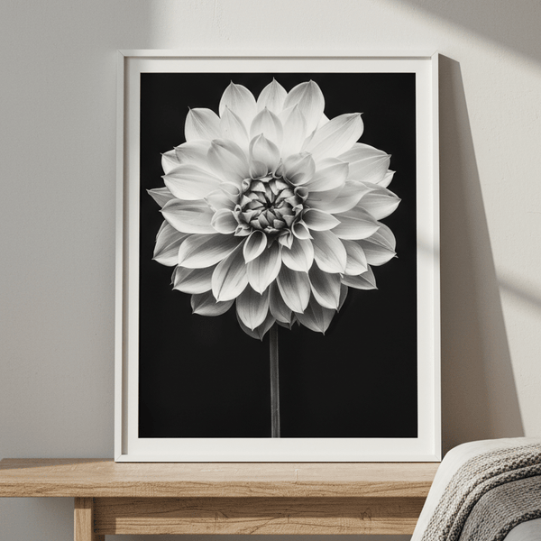 Cactus Dahlia by Peter Attard