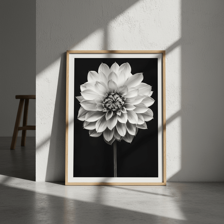 Cactus Dahlia by Peter Attard wall - art - picture - poster