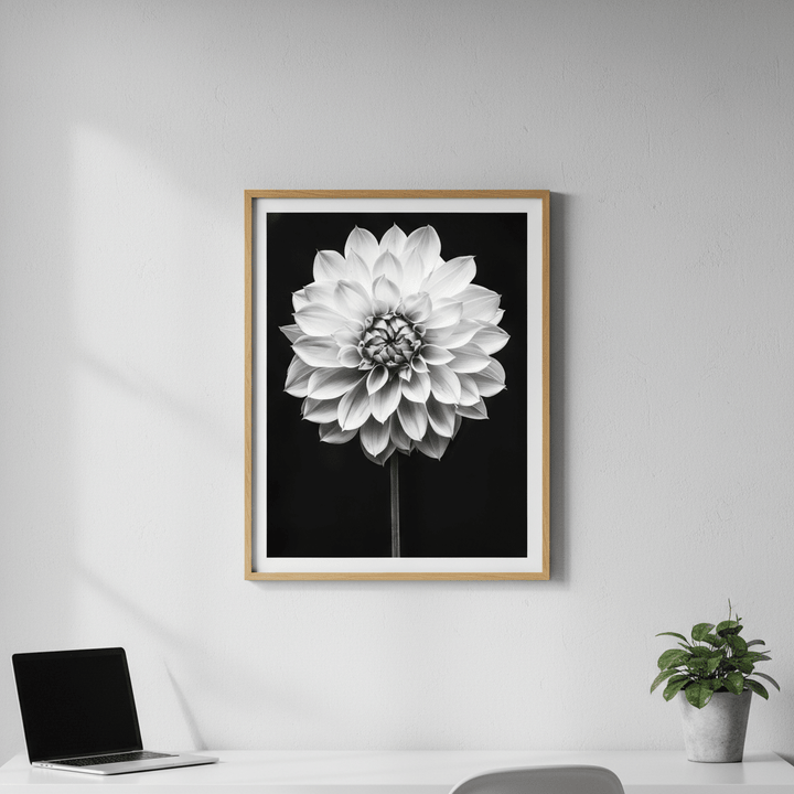 Cactus Dahlia by Peter Attard wall - art - picture - poster