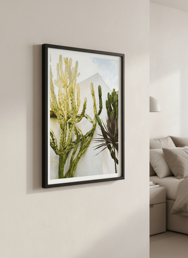 California Cactus Garden  By Bethany Young