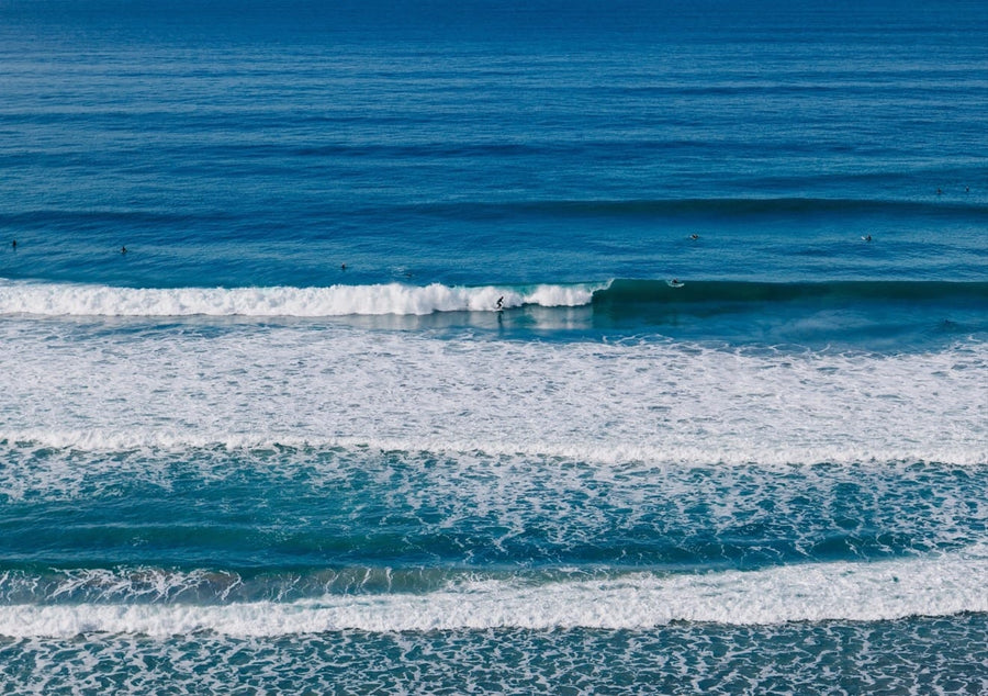 California Surfing  By Bethany Young