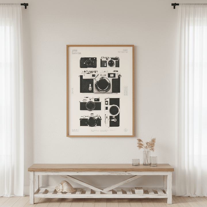 Cameras 1950 by Florent Bodart wall - art - picture - poster