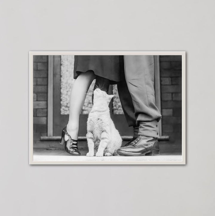 Cat Lovers Vintage Photograph Wall Art - Style My Wall