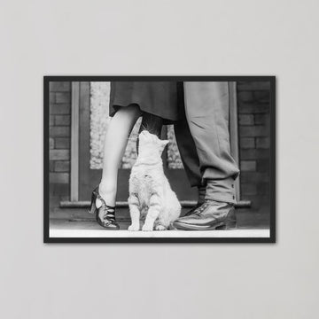 Cat Lovers Vintage Photograph Wall Art - Style My Wall