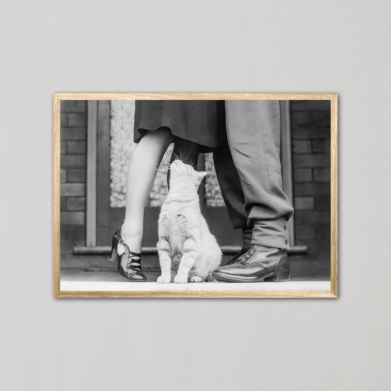 Cat Lovers Vintage Photograph Wall Art - Style My Wall